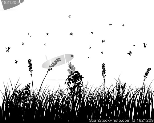 Image of meadow silhouettes