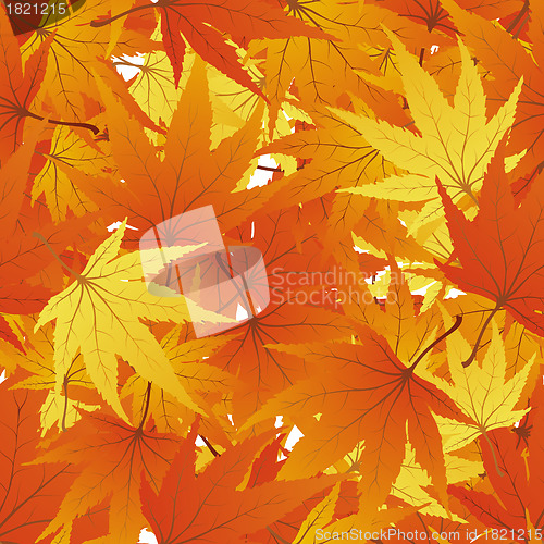 Image of seamless maple leaves