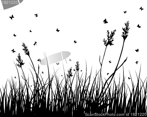 Image of meadow silhouettes