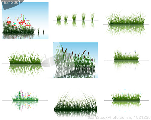 Image of grass on water