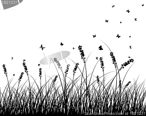 Image of meadow silhouettes