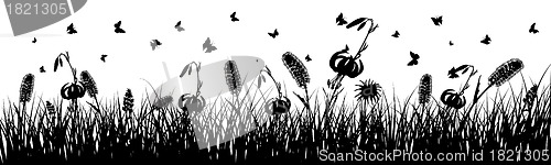 Image of meadow silhouettes