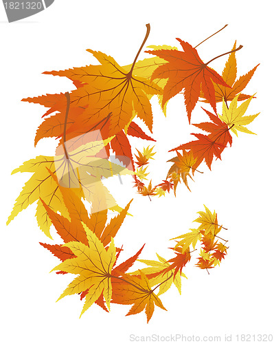 Image of autumn leaves