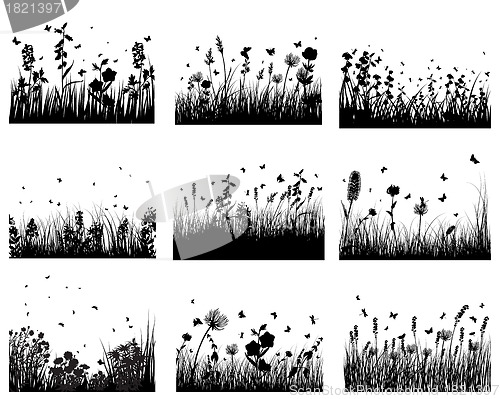 Image of meadow silhouettes