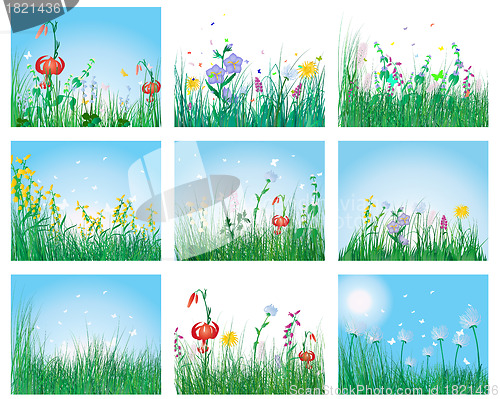 Image of meadow silhouettes