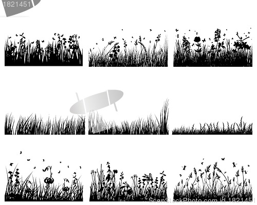 Image of meadow silhouettes