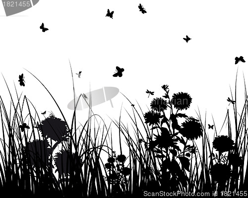 Image of meadow silhouettes