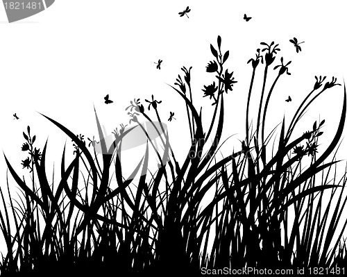 Image of meadow silhouettes