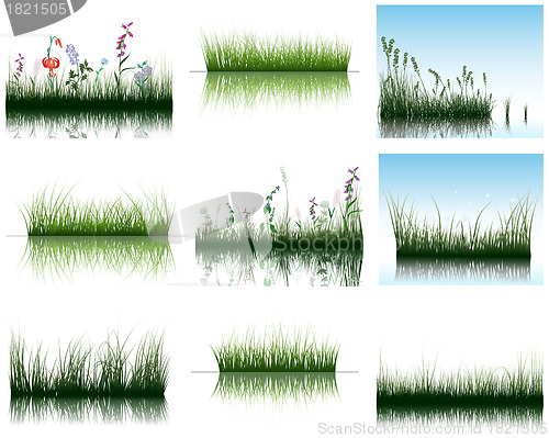 Image of grass on water