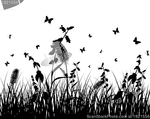 Image of meadow silhouettes