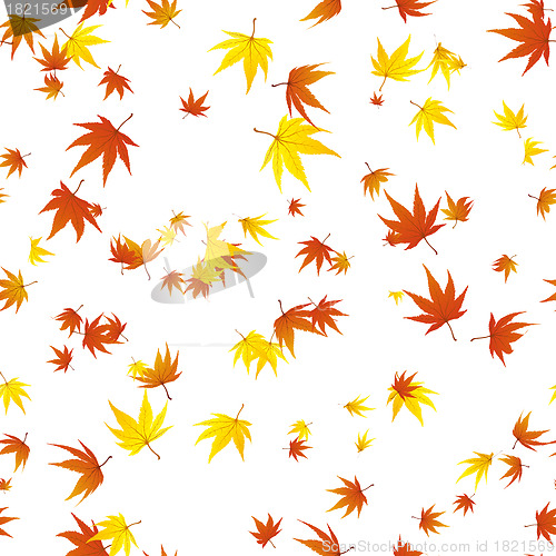 Image of seamless maple leaves