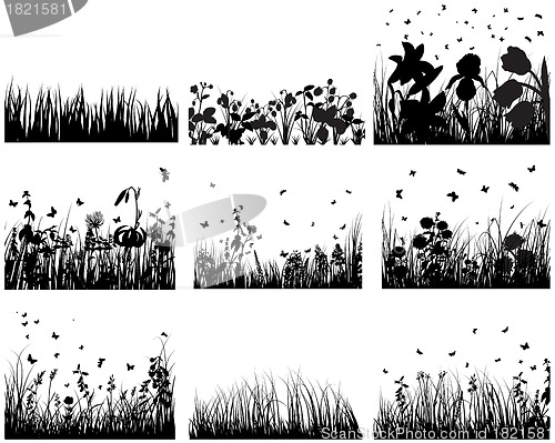 Image of meadow silhouettes