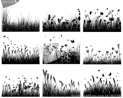 Image of meadow silhouettes