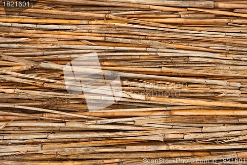 Image of Detail of reed fence