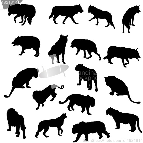 Image of Set of wolves, tigers, leopareds and lions silhouettes