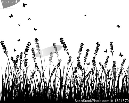 Image of meadow silhouettes