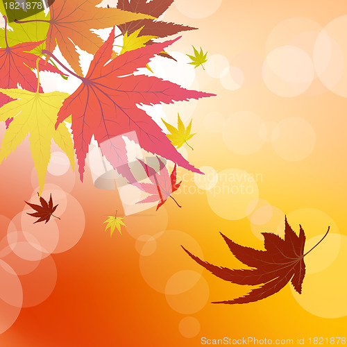 Image of autumn leaves