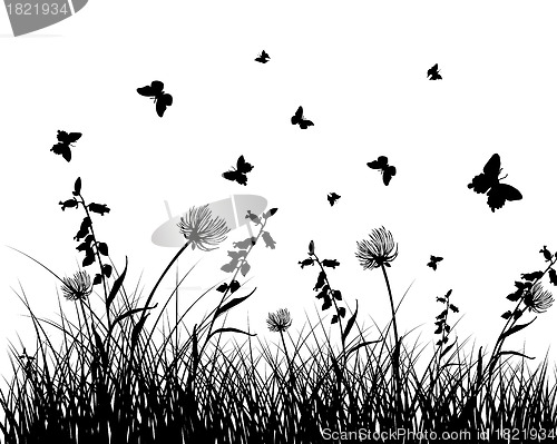 Image of meadow silhouettes