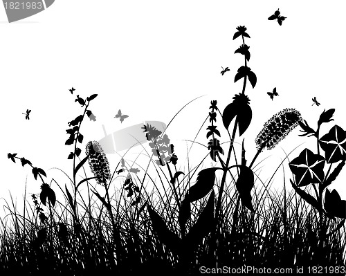 Image of meadow silhouettes