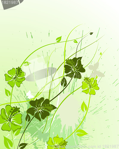 Image of floral background