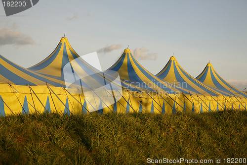 Image of Cirkus in town