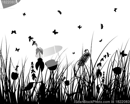 Image of meadow silhouettes