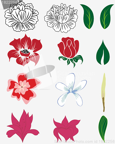Image of flowers set