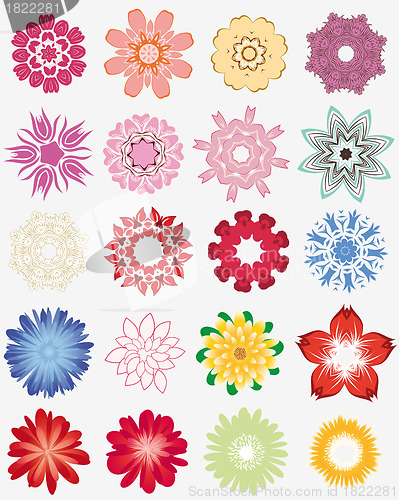 Image of flowers set