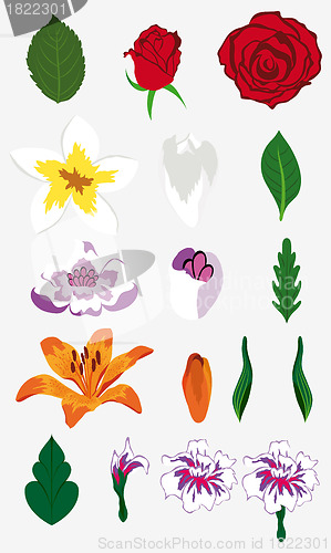 Image of flowers set