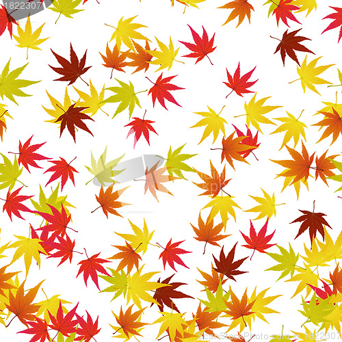 Image of autumn leaves