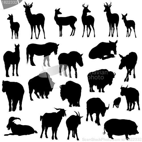 Image of Set of deer, horses, goats, yaks, buffalos and pig   silhouettes