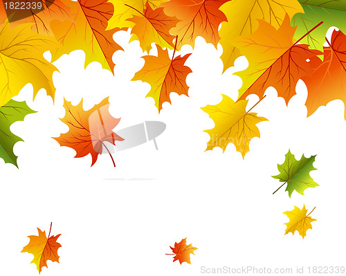 Image of Autumn background