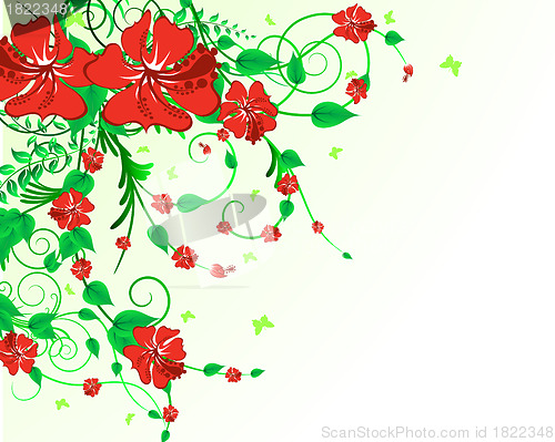 Image of floral background