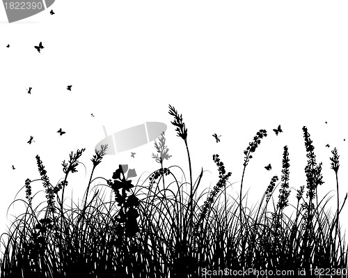 Image of meadow silhouettes