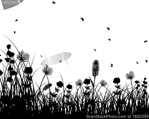 Image of meadow silhouettes