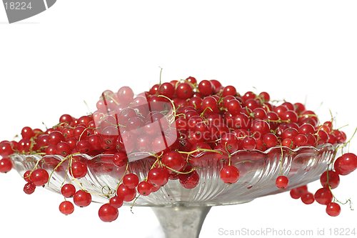 Image of Red berries