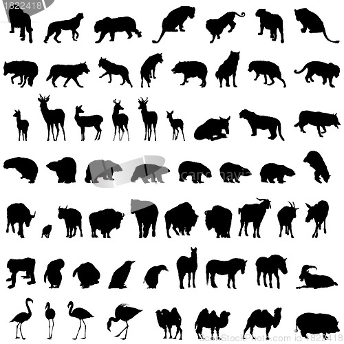 Image of animal set