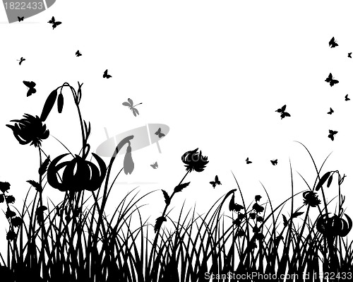 Image of meadow silhouettes