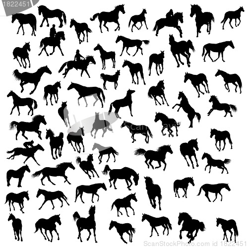 Image of horses silhouettes