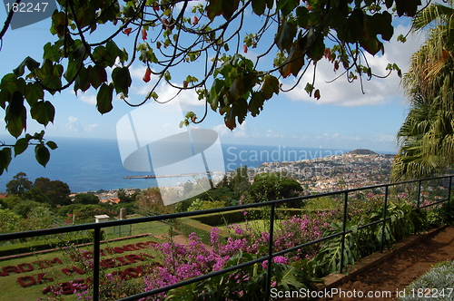 Image of Funchal