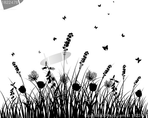 Image of meadow silhouettes