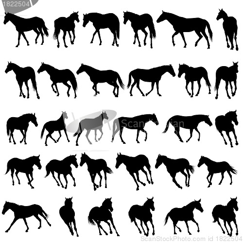 Image of horses silhouettes