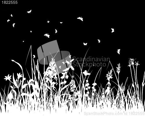 Image of meadow silhouettes