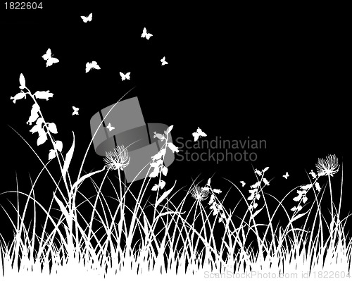 Image of meadow silhouettes