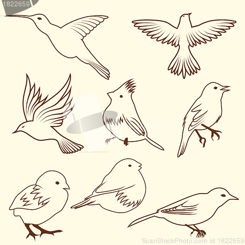 Image of Set of differnet sketch bird