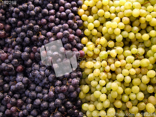 Image of Fruit shop - grapes