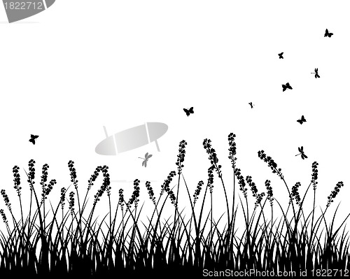 Image of meadow silhouettes