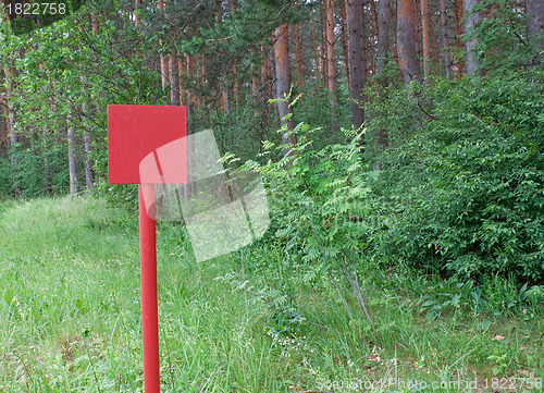 Image of Red metal plate in wood