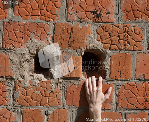 Image of Hand on a brick wall
