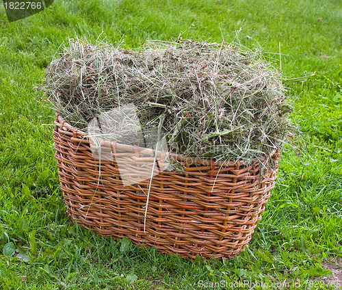 Image of Basket with hay armful